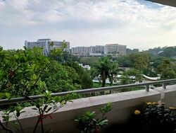 Blk 339 Clementi Avenue 5 (Clementi), HDB 3 Rooms #558402751